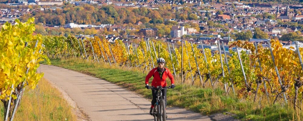 Wirtschaftspsychologie in Baden-Württemberg