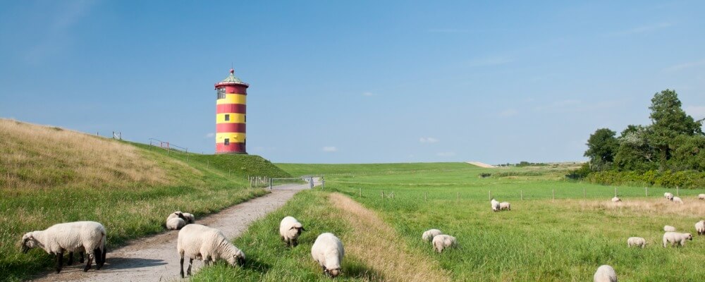 Wirtschaftspsychologie in Niedersachsen